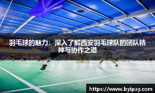 羽毛球的魅力：深入了解西安羽毛球队的团队精神与协作之道